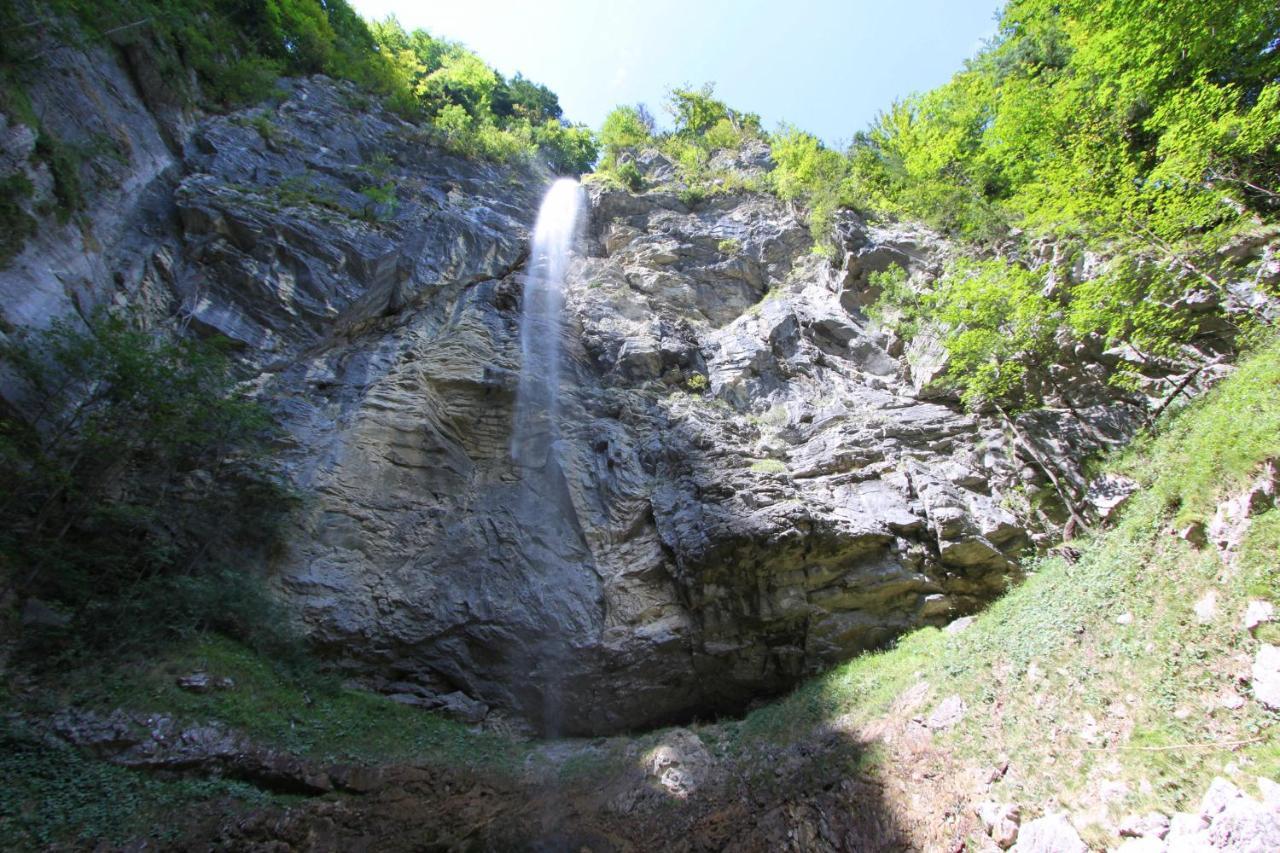 אשאו אים כימגאו Ferienwohnungen Haus Waldwinkel מראה חיצוני תמונה